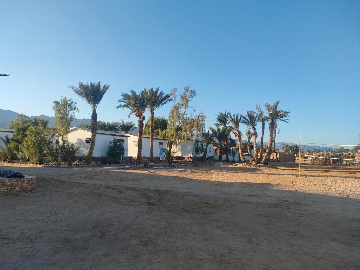 Отель Nuweiba Oasis Экстерьер фото