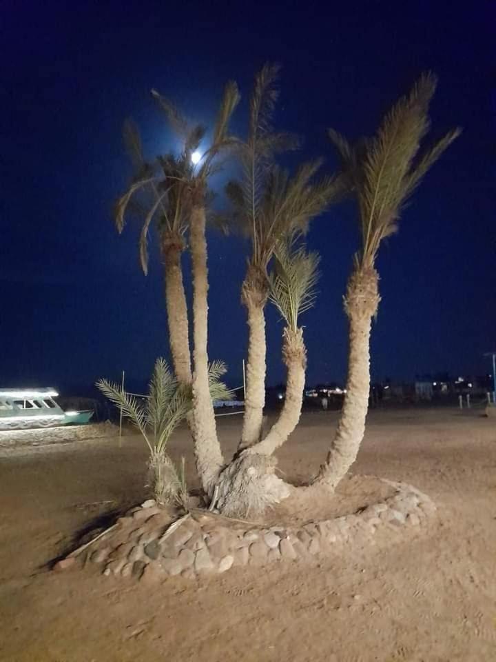 Отель Nuweiba Oasis Экстерьер фото